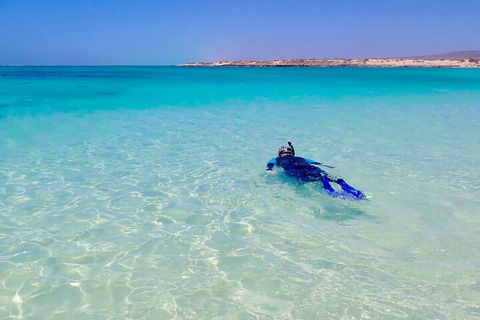 Ningaloo In A Day - Full Day Hike And Snorkel Tour With Lunch - Accommodation ACT 4
