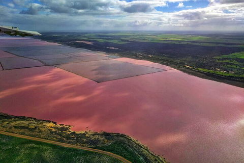 Kalbarri, Pink Lake And Abrolhos Islands Nature Tour - Accommodation ACT 1