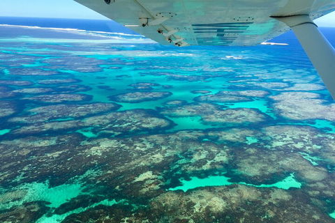 Kalbarri, Pink Lake And Abrolhos Islands Nature Tour - Accommodation ACT 5
