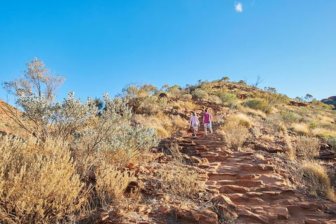 Kings Canyon Guided Rim Walk - Accommodation ACT 1