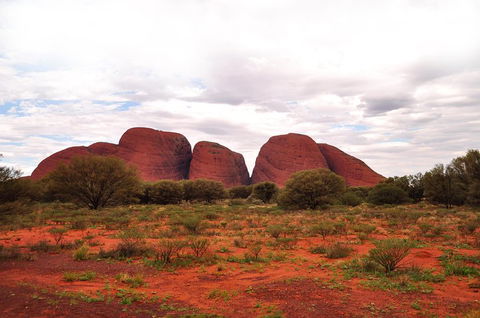 Ayers Rock Combo: Uluru Base And Sunset Plus Uluru Sunrise And Kata Tjuta With An Optional BBQ Dinner Or Kings Canyon Day Trip - Accommodation ACT 1