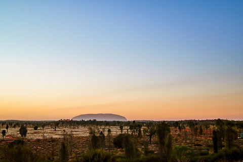 Uluru (Ayers Rock) Field Of Light Sunrise Tour - Accommodation ACT 0