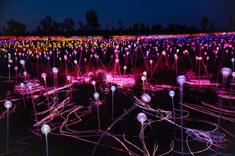 Uluru (Ayers Rock) Field Of Light Sunrise Tour - Accommodation ACT 1