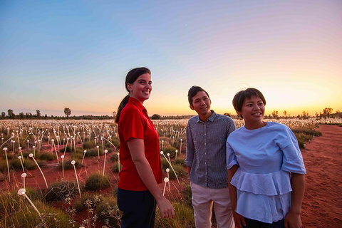 Uluru (Ayers Rock) Field Of Light Sunrise Tour - Accommodation ACT 2