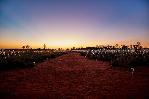 Uluru (Ayers Rock) Field Of Light Sunrise Tour - Accommodation ACT 3