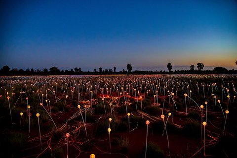Uluru (Ayers Rock) Field Of Light Sunrise Tour - Accommodation ACT 4