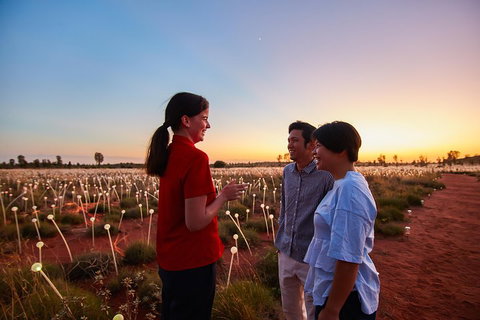 Uluru (Ayers Rock) Field Of Light Sunrise Tour - Accommodation ACT 5