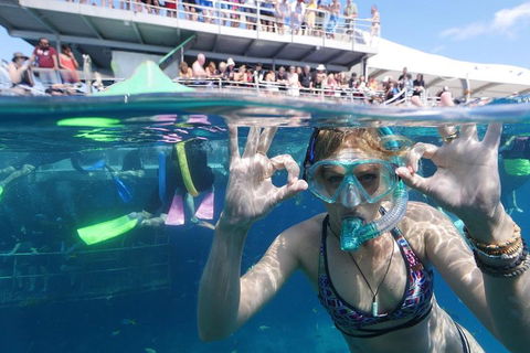 Great Barrier Reef Day Cruise From Cairns Including Snorkeling And Marine Biologist Presentation - Accommodation ACT 0