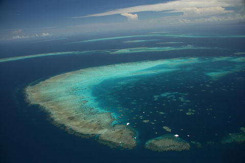 Great Barrier Reef Day Cruise From Cairns Including Snorkeling And Marine Biologist Presentation - Accommodation ACT 1