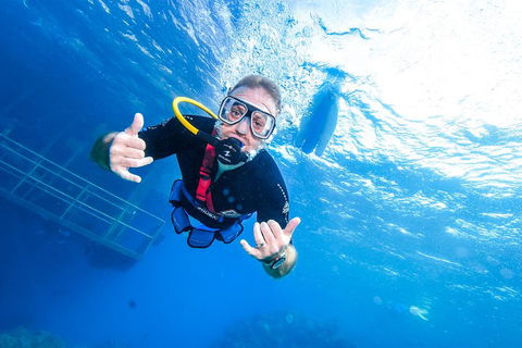 Great Barrier Reef Day Cruise From Cairns Including Snorkeling And Marine Biologist Presentation - Accommodation ACT 3