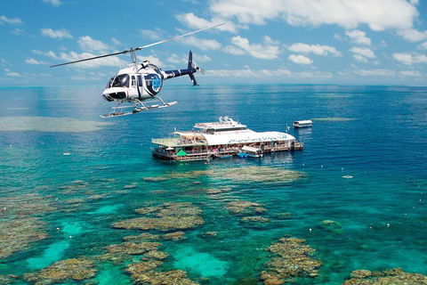 Great Barrier Reef Day Cruise From Cairns Including Snorkeling And Marine Biologist Presentation - Accommodation ACT 5