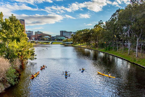 Adelaide City Kayak Tour - Accommodation ACT 0