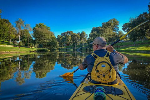Adelaide City Kayak Tour - Accommodation ACT 5