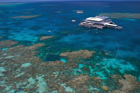 Ultimate 3-Day Great Barrier Reef Cruise Pass - Accommodation ACT 3