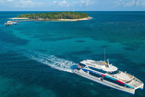 Ultimate 3-Day Great Barrier Reef Cruise Pass - Accommodation ACT 4