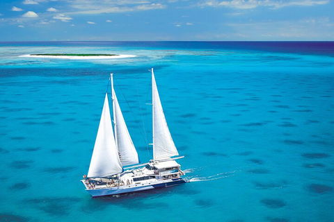 Ultimate 3-Day Great Barrier Reef Cruise Pass - Accommodation ACT 5