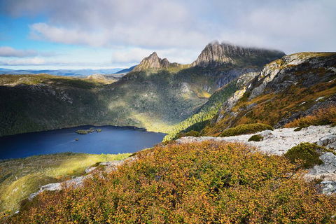 Cradle Mountain Private Charter Service - Accommodation ACT 3