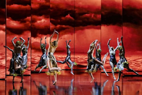 Opera Performance At The Sydney Opera House - Accommodation ACT 5