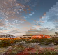 Uluru Kata Tjuta and Kings Canyon Camping Safari from Alice Springs - Accommodation ACT