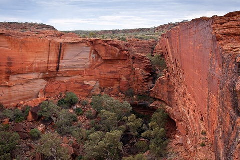 Uluru, Kata Tjuta And Kings Canyon Camping Safari From Ayers Rock - Accommodation ACT 1
