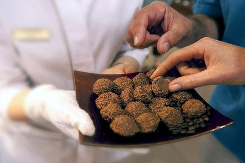 Explore Adelaide City Tour: Haigh's Tasting Chocolate & Adelaide Oval Tour - Accommodation ACT 2