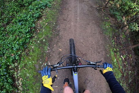 Explore Downhill Mountain In 3-Hour Bike Tour From Hobart - Accommodation ACT 2