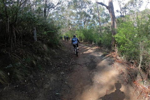 Explore Downhill Mountain In 3-Hour Bike Tour From Hobart - Accommodation ACT 3