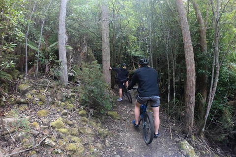 Explore Downhill Mountain In 3-Hour Bike Tour From Hobart - Accommodation ACT 4
