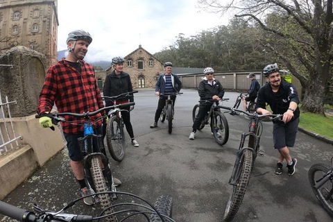 Explore Downhill Mountain In 3-Hour Bike Tour From Hobart - Accommodation ACT 5