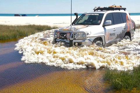 Full-Day Moreton Island 4x4 Sightseeing Tour - Accommodation ACT 0