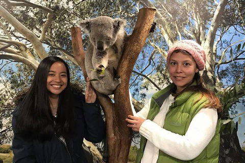 The Ultimate Sydney Attractions Pass - Accommodation ACT 1