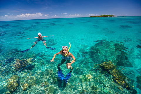 Green Island Discovery Including Glass Bottom Boat Tour Departing Cairns - Accommodation ACT 2