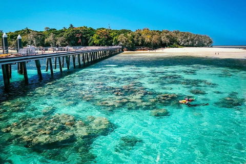 Green Island Discovery Including Glass Bottom Boat Tour Departing Cairns - Accommodation ACT 4