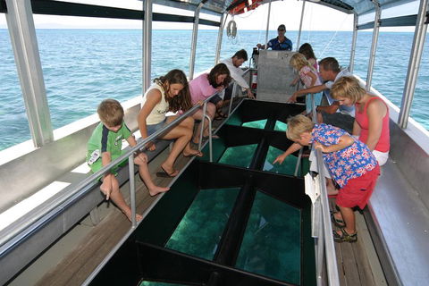 Green Island Discovery Including Glass Bottom Boat Tour Departing Cairns - Accommodation ACT 5