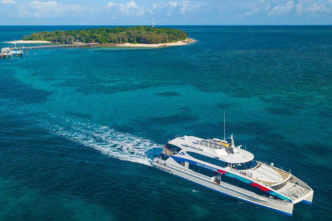 Green Island Day Trip Including Seawalker Helmet Dive COMBO - Accommodation ACT 2
