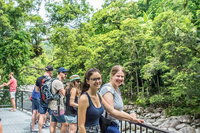 Cape Tribulation Mossman Gorge and Daintree Rainforest Day Trip from Cairns or Port Douglas