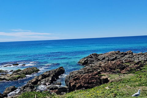 Private Custom Byron Bay Day Out - Accommodation ACT 4