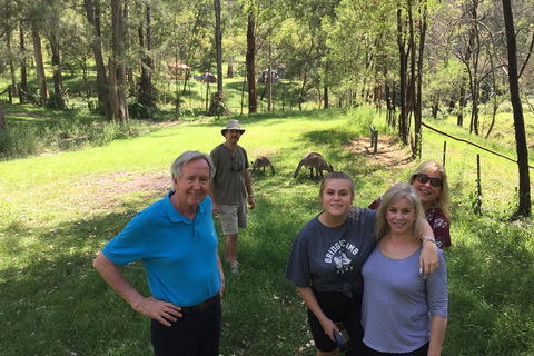 Small Group Blue Mountains Day Tour From Sydney - Accommodation ACT 1