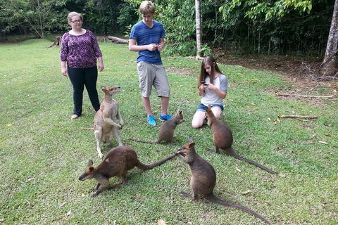 Small Group Blue Mountains Day Tour From Sydney - Accommodation ACT 2