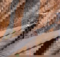 Chillagoe Caves and Outback Day Trip from Cairns - Accommodation ACT