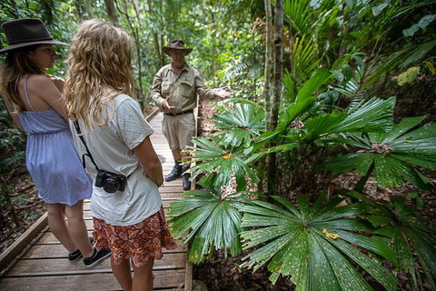 2 Day Daintree Rainforest, Cape Tribulation And Outback Chillagoe Tour - Accommodation ACT 2