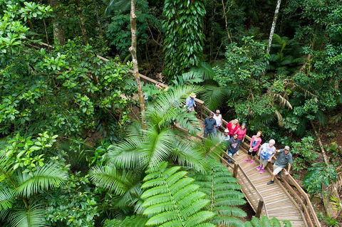 2 Day Daintree Rainforest, Cape Tribulation And Outback Chillagoe Tour - Accommodation ACT 3