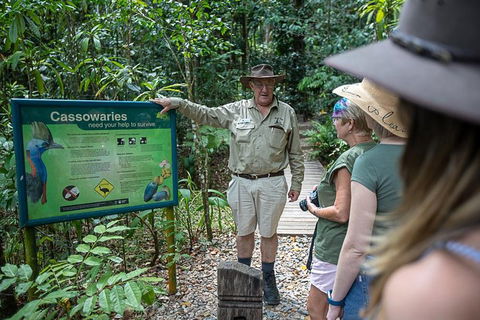 2 Day Daintree Rainforest, Cape Tribulation And Outback Chillagoe Tour - Accommodation ACT 5