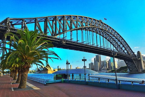 The Rocks & Darling Harbour With A Local: Private & Personalized - Accommodation ACT 2