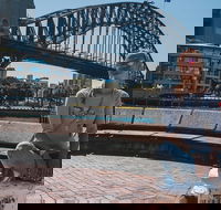 Sydney Private Tours by Locals 100 Personalized See the City Unscripted - Accommodation ACT