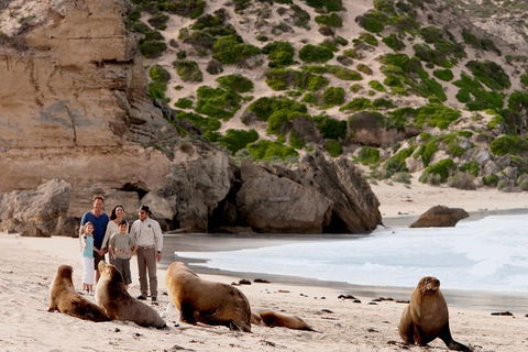 Kangaroo Island Scenic Trail Tour - Accommodation ACT 5