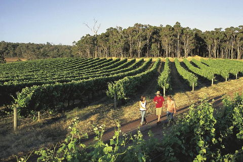 Margaret River, Caves, Wine And Cape Leeuwin Lighthouse Tour From Perth - Accommodation ACT 1