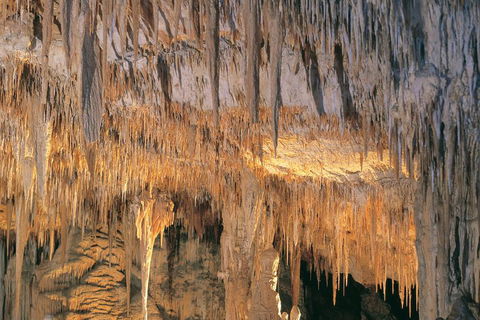 Margaret River, Caves, Wine And Cape Leeuwin Lighthouse Tour From Perth - Accommodation ACT 3