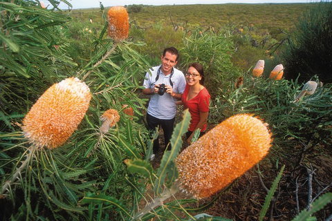 Best Of Perth Wildflower Season Day Trip - Accommodation ACT 0
