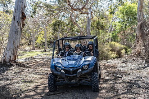 Small-Group Buggy Tour At Little Sahara With Guide - Accommodation ACT 0